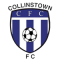 Collinstown FC