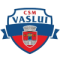 CSM Vaslui