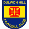 Dulwich Hill U20