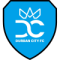 Durban City Fc 2024