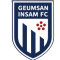Geumsan Insam