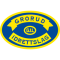 Grorud U19