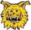 Ilves Tampere Frauen