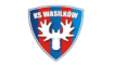 KS Wasilkow