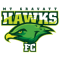 Mount Gravatt Hawks
