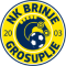 NK Brinje Grosuplje U19