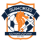 Seahorses