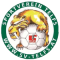 SV Telfs
