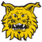 Tampereen Ilves U20