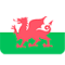 Wales U19