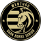 Wenzhou Professional